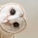 Artema-
